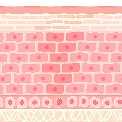 Shrinks Pores & Fades Blemish Marks